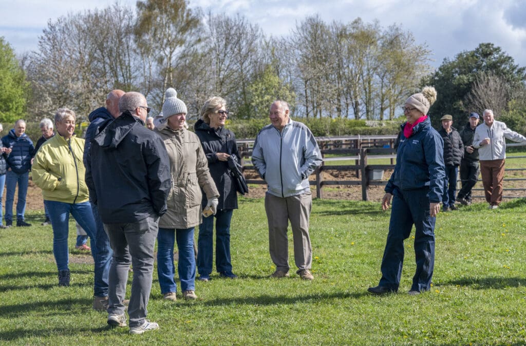 Sunshine after the rain!