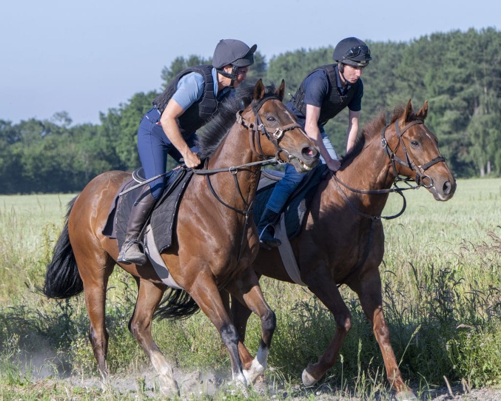 Copper and Five and Reputation