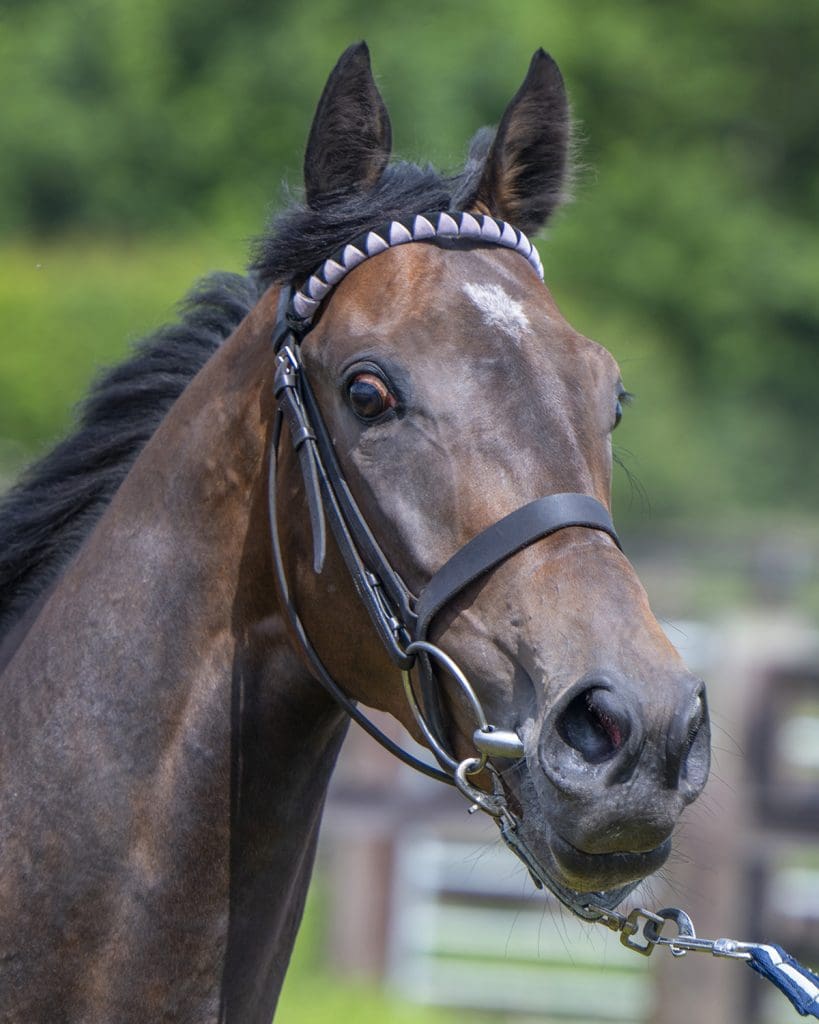 Mali Star