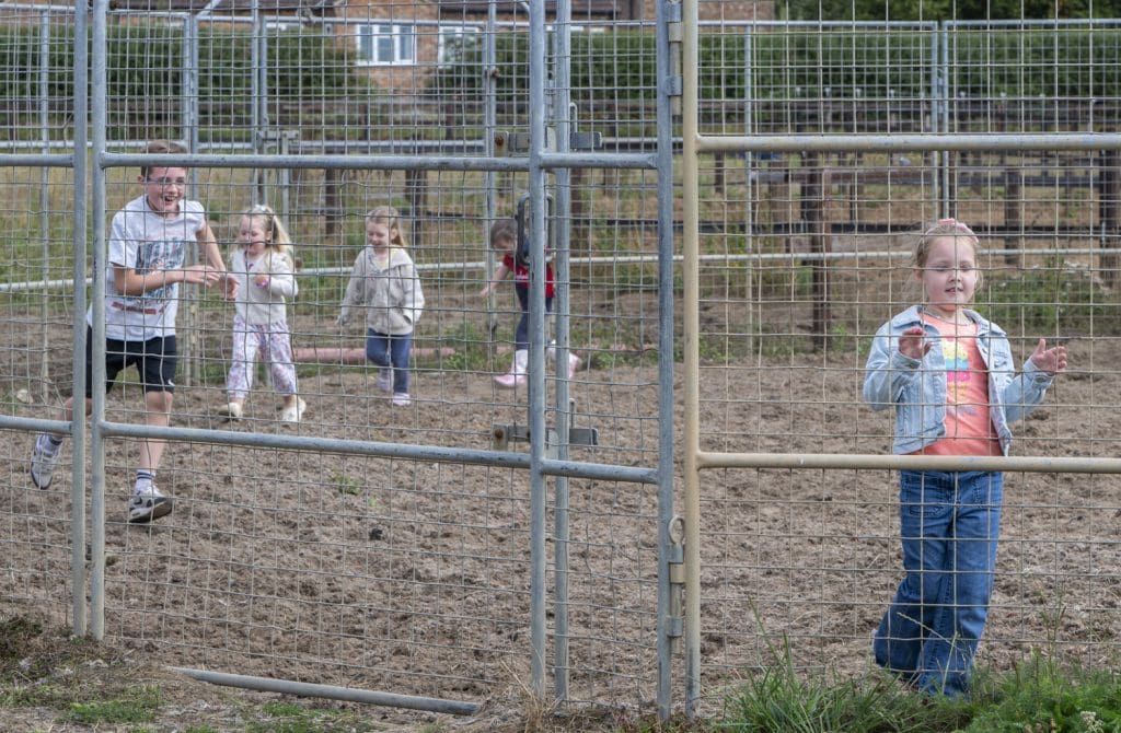 The children have fun in the horses' pen before going home