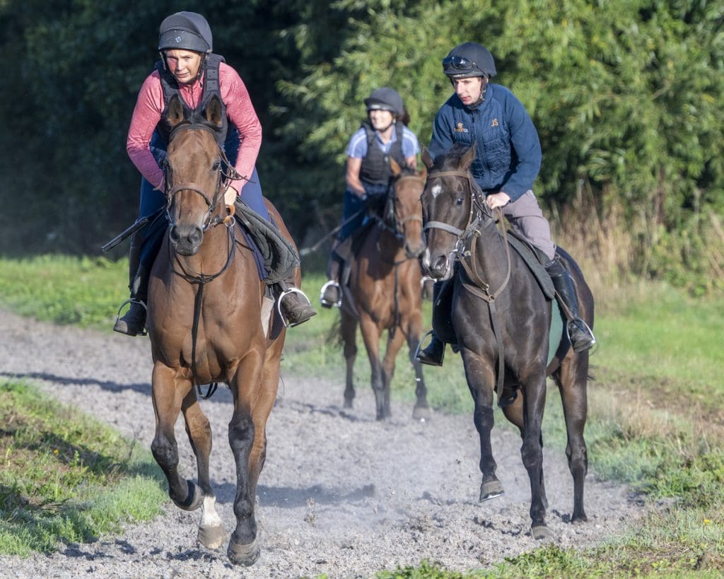 Ruth leads on Alligator Alli